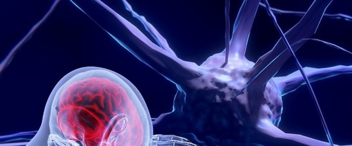 International interdisciplinary summer school : “the neurobiology of emotions and the feelings” International interdisciplinary summer school : “the neurobiology of emotions and the feelings”