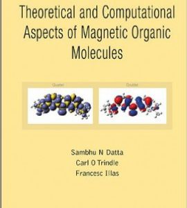 Theoretical and Computational Aspects of Magnetic Organic Molecules