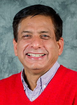 Virender K. Sharma
