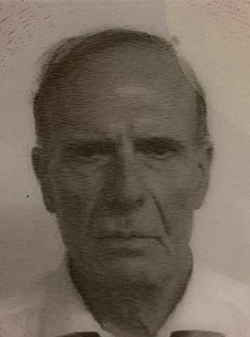 Bruno Bigolin